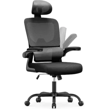 Silla de Oficina Ergonómica con Soporte Lumbar Rattantree