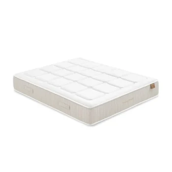 Flex Tribeca V2